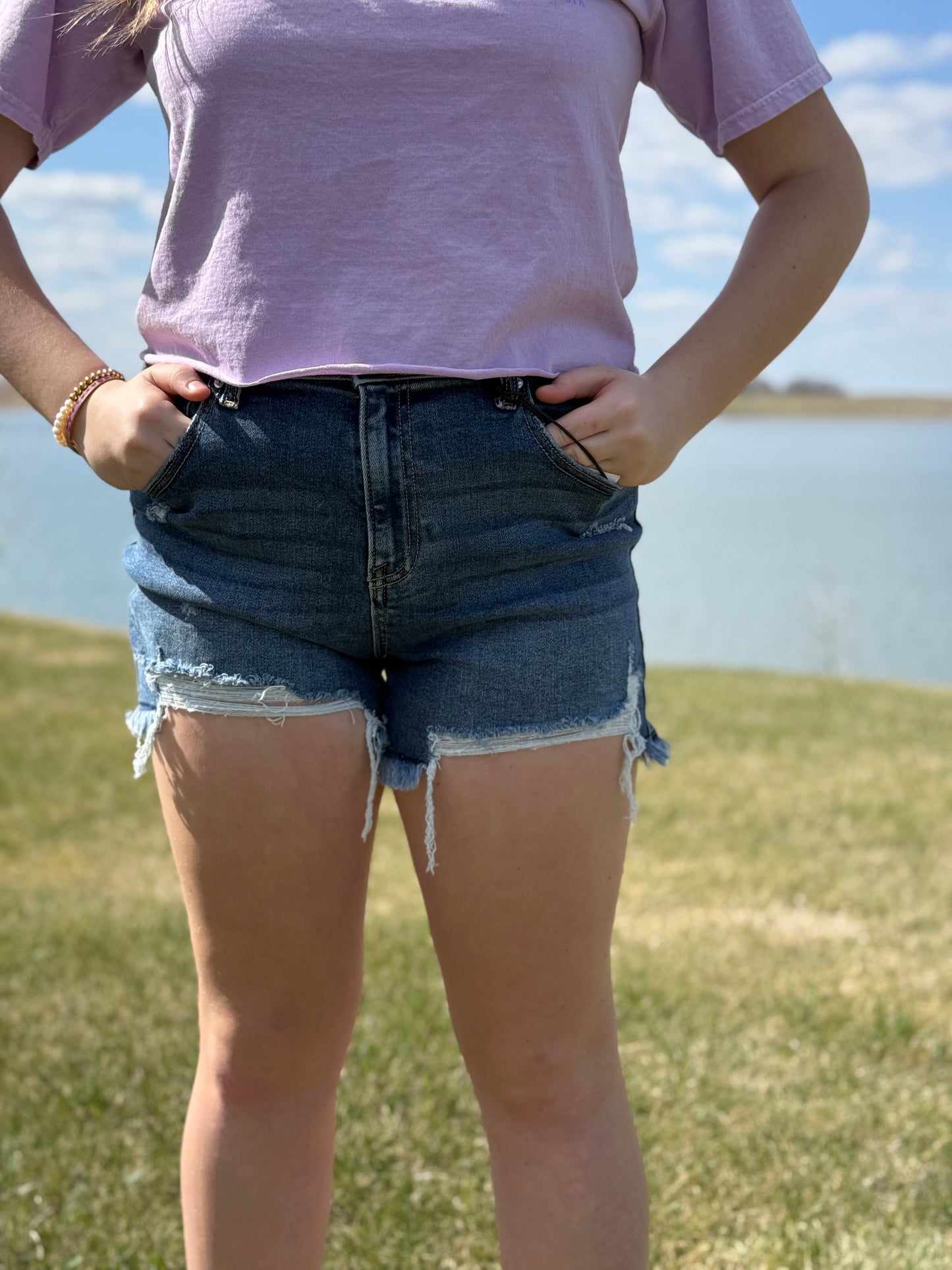 Cropped Ringspun Tee- South Dakota - Wisteria