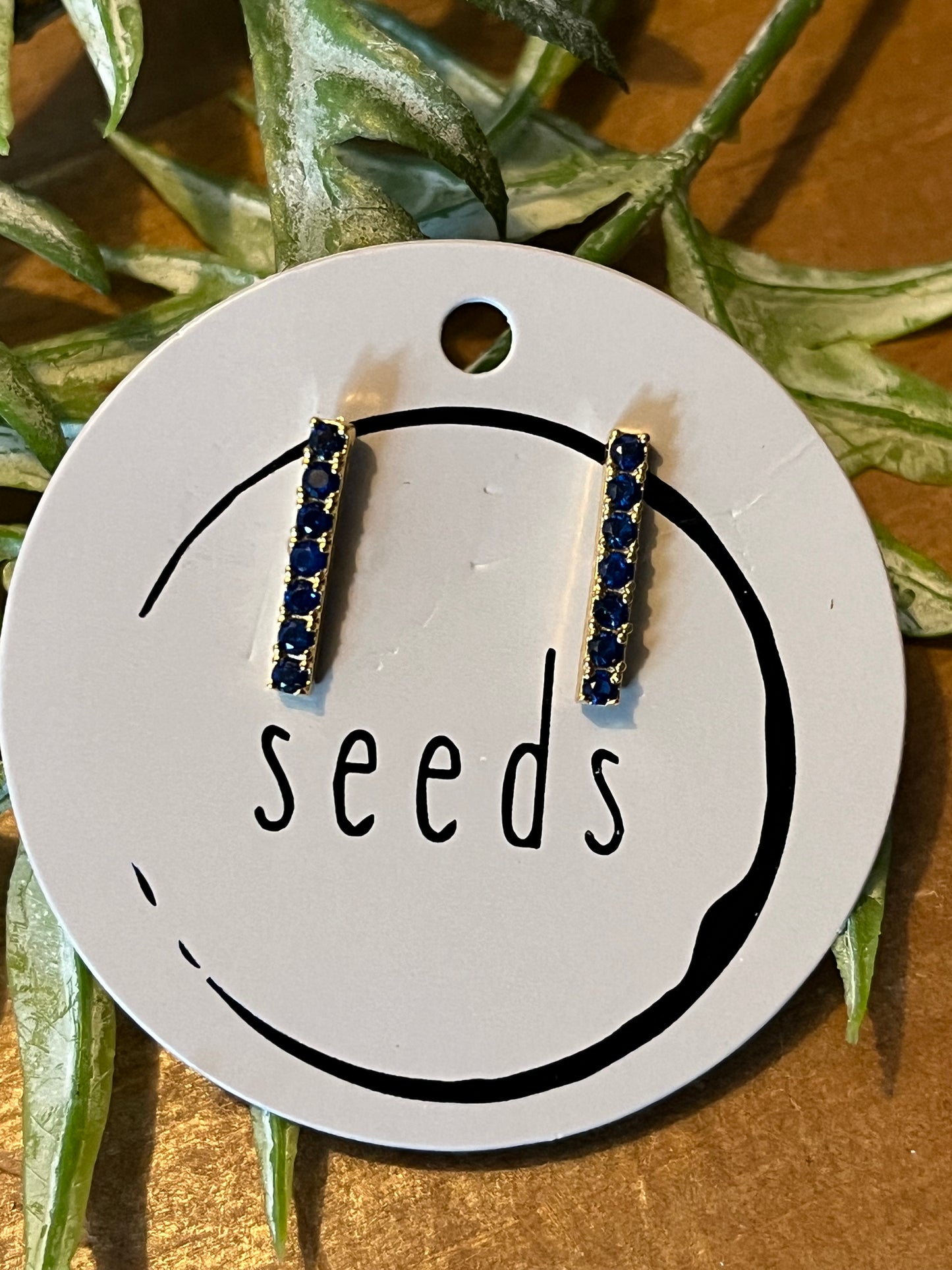 Seeds Earrings