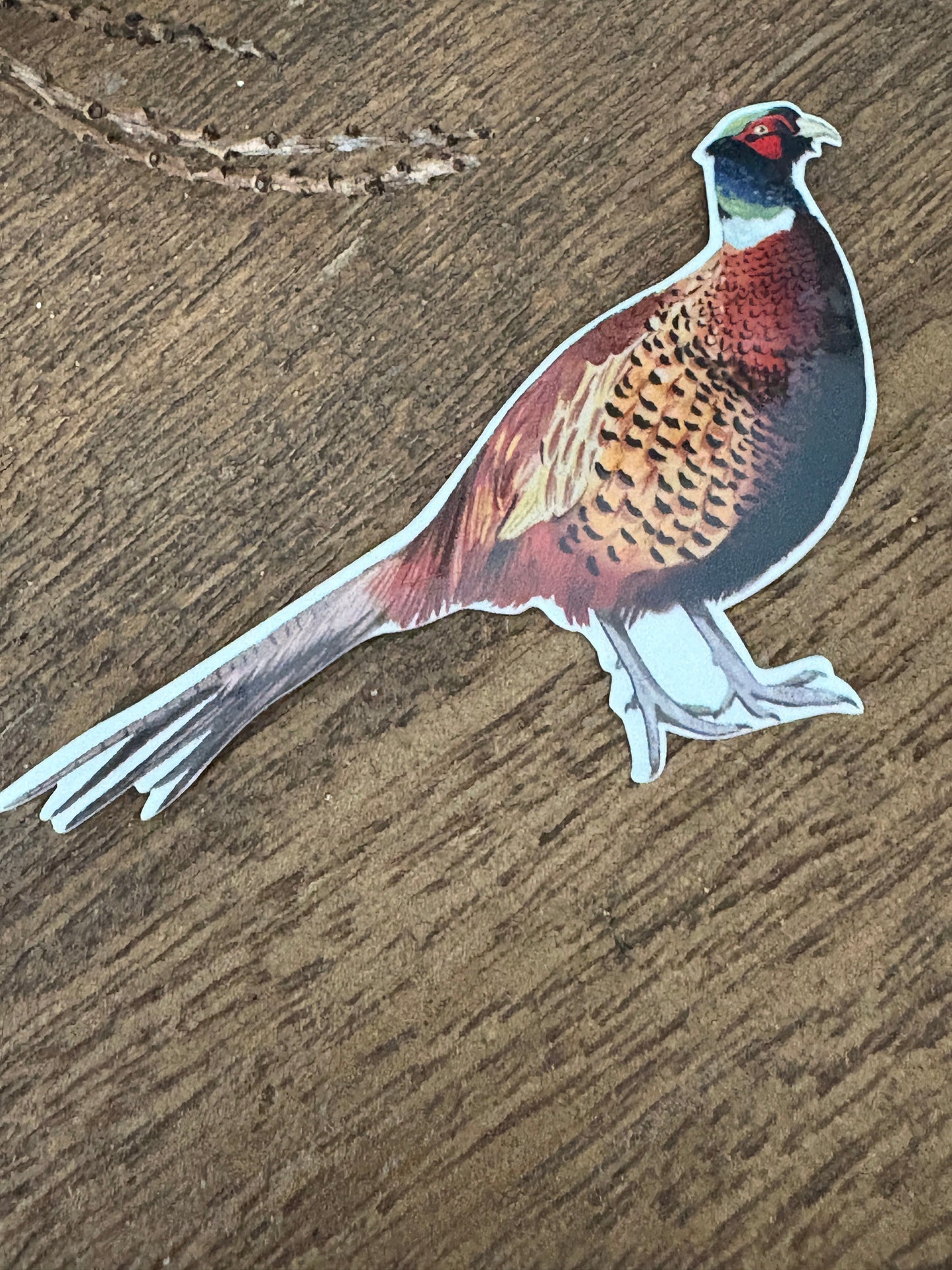 Pheasant Sticker