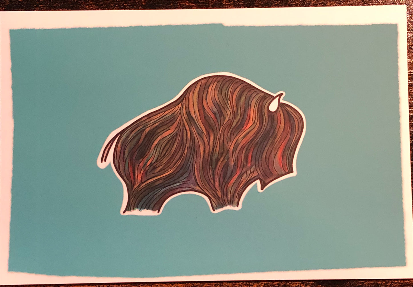 Buffalo Postcard