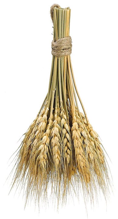 Dried Wheat Bundle