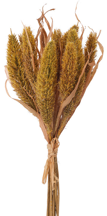 Sorghum Bundle