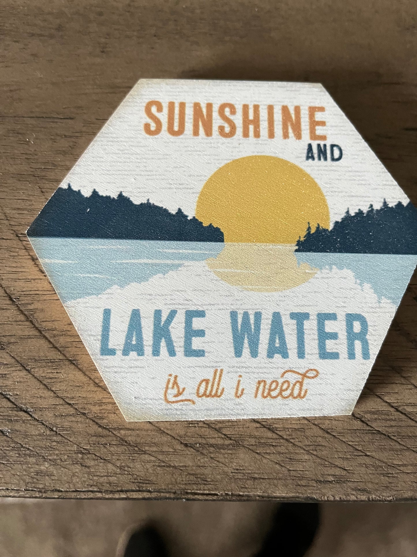 Sunshine and Lake Water is All I Need Coaster